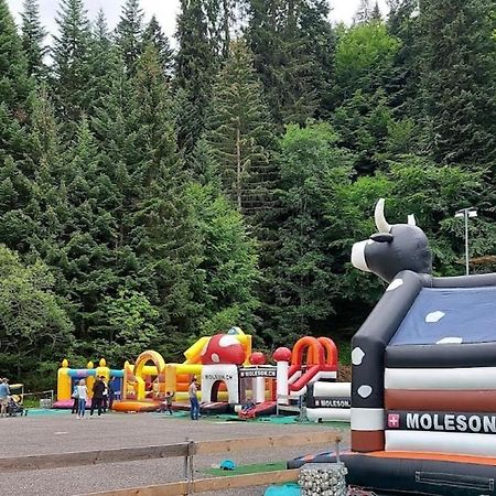 Joli Studio Au Pied Du Moleson Gruyeres Zewnętrze zdjęcie