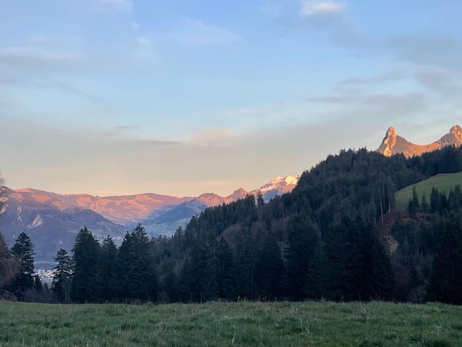 Joli Studio Au Pied Du Moleson Gruyeres Zewnętrze zdjęcie