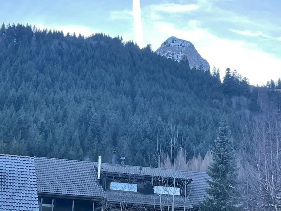 Joli Studio Au Pied Du Moleson Gruyeres Zewnętrze zdjęcie