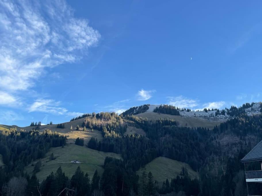 Joli Studio Au Pied Du Moleson Gruyeres Zewnętrze zdjęcie