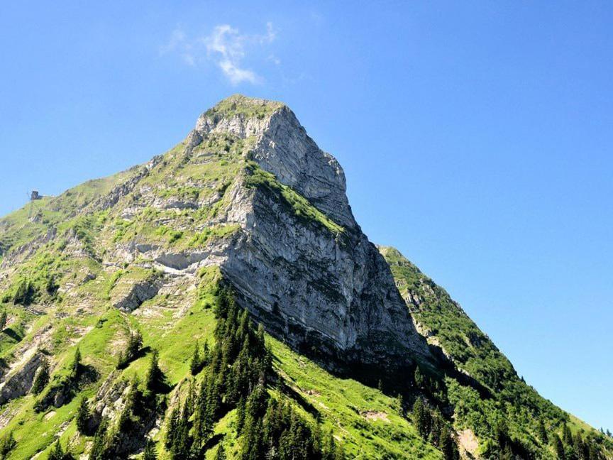 Joli Studio Au Pied Du Moleson Gruyeres Zewnętrze zdjęcie