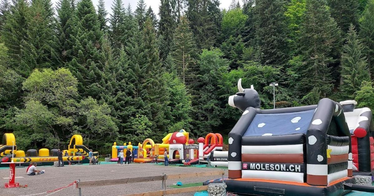 Joli Studio Au Pied Du Moleson Gruyeres Zewnętrze zdjęcie