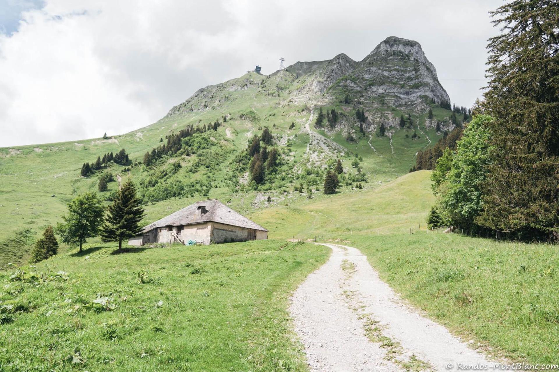 Joli Studio Au Pied Du Moleson Gruyeres Zewnętrze zdjęcie